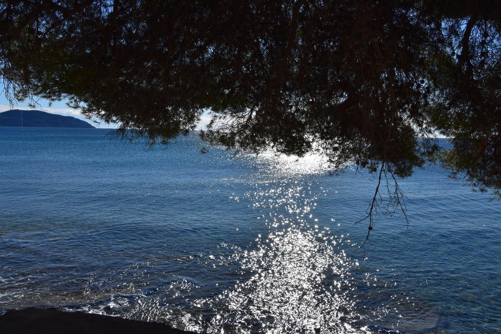 Studio Le Peneque Des Anges La Ciotat Eksteriør billede